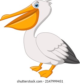 Cute pelican cartoon isolated on white background