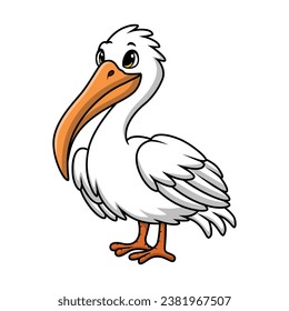 Cute pelican cartoon on white background