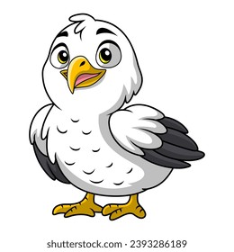 Cute pelican cartoon on white background