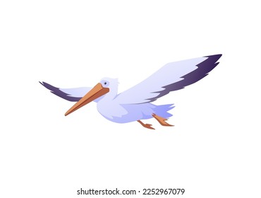 Cute pelican flying, flat vector illustration isolated on white background. Sea or water bird drawing. Wildlife inhabitant of tropics.