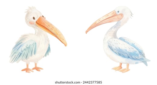 cute pelican watercolour vector illustration 