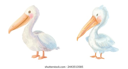 cute pelican watercolour vector illustration 