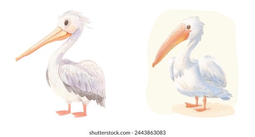 cute pelican watercolour vector illustration 