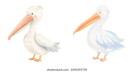 cute pelican watercolour vector illustration 