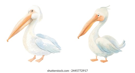 cute pelican watercolour vector illustration 