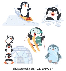 Cute penguin Activity in winter set