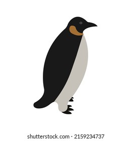 Cute penguin animal vector icon.