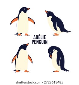 Ilustrações bonitas do vetor animal do pinguim de Adélie