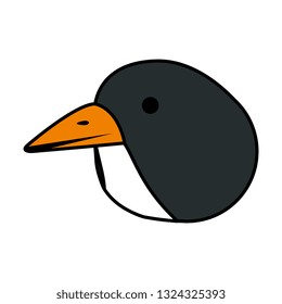 cute penguin bird character