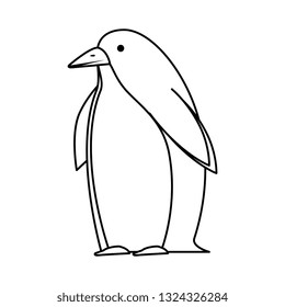 cute penguin bird character