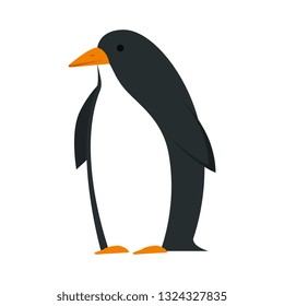 cute penguin bird character