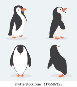 Cute penguin characters  in different poses set