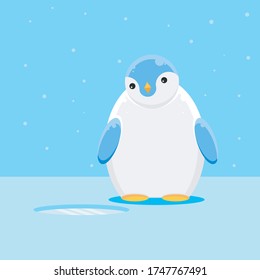 a cute penguin child, learning to hunt for food, when it snows. he was waiting for a fish to appear from the ice pit beside him.