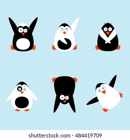 Cute penguin collection vector illustration