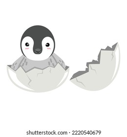 Cute penguin in egg vector cartoon sign