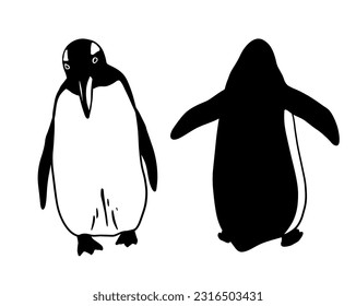 Cute pingüino delante y atrás. Ilustración vectorial monocroma aislada en blanco. Animal polar realista