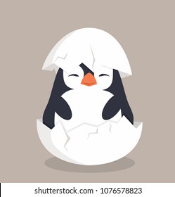 Cute Penguin Hatched In Egg