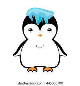 cute penguin with ice on head vector illustration cartoon