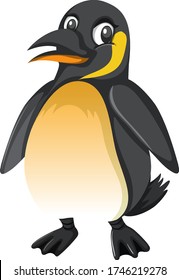Pingüino corto en ilustración de fondo blanco