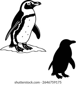 Cute Penguin Outline Vector Illustration  