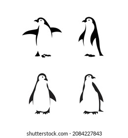 cute penguin silhouette vector design illustration