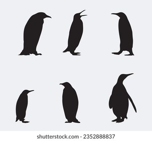 cute penguin silhouette vector design illustration