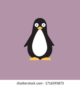 Cute Penguin from the south pole 