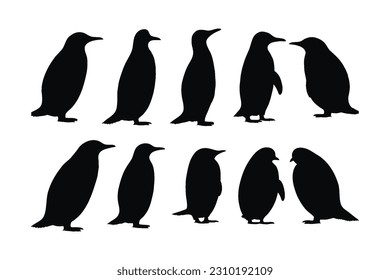 Cute penguin standing silhouette set on a white background. Wild flightless bird silhouette bundle design. Herbivorous penguins standing in different positions. Penguin full body silhouette collection