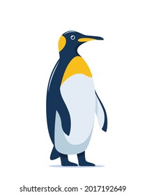 Cute penguin stands in full height, vector illustration on white background