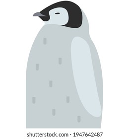 Ilustración del icono del vector del pingüino cutáneo en blanco