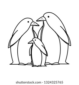 cute penguins birds characters