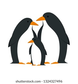 cute penguins birds characters