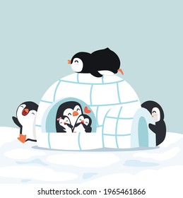 Cute  Penguins Igloo ice house in winter