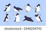 Cute penguins set. Adorable arctic antarctic birds in playful poses, waddling, walking, standing with wings. Polar animals, mammal characters, fauna from Antarctica. Isolated flat vector illustrations