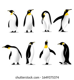 Cute penguins set logo design vector