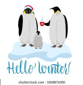 Cute Penguins wearing Santa Claus hat with a cup of tea standing on on the ice. Flat design vector illustration. Hello winter calligraphy lettering