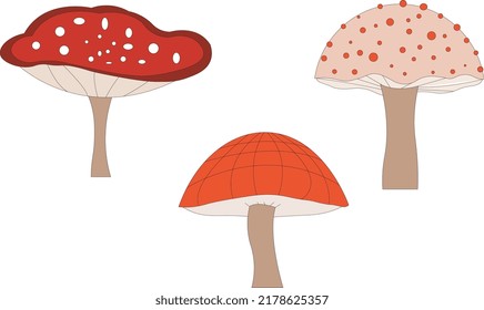 cute and perfect colorful mushrooms patterns and red orange mushrooms