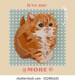cute persian cat