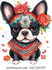 Cute pet, adorable animal, wearing beautiful Mexican cloth