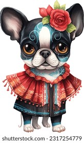 Cute pet, adorable animal, wearing beautiful Mexican cloth