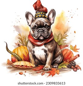 Cute Pet, cute animal, Thanksgiving, Pumpkin