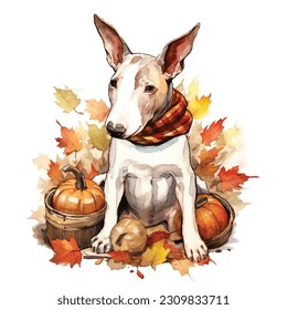 Cute Pet, cute animal, Thanksgiving, Pumpkin