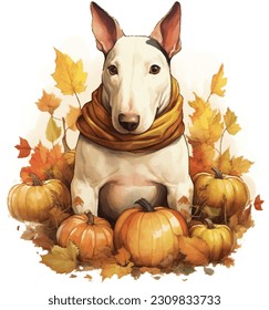 Cute Pet, cute animal, Thanksgiving, Pumpkin