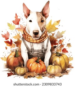 Cute Pet, cute animal, Thanksgiving, Pumpkin