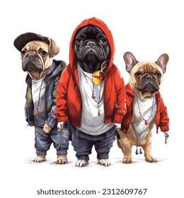 Cute pet, cute animal,costume, hip hop style