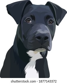 Cute Pet Black Dog, Vector Portrait PET