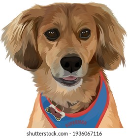 süßes Haustier, und kann auch Cetah für die Einrichtung zu Hause.