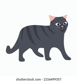 Cute pet in cartoon style. Cat Vector illustration.