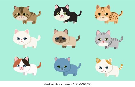 Cute pet cat breed collection flat style