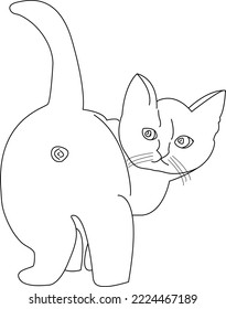 Cute Pet Cat Showing Butt